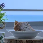 View, Wifi, Clima E Parking Daire *